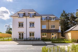 Photo 14- click for photo gallery